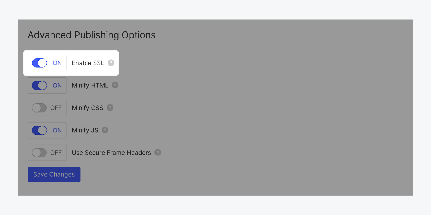 The advanced publishing options section includes switch buttons for the following options, enable SSL (highlighted), minify HTML, minify CSS, minify JS, use secure frame headers and a blue save changes button.