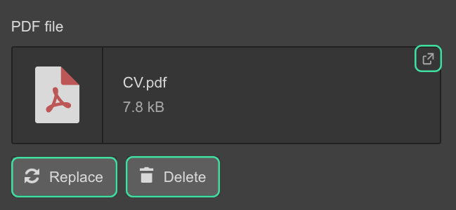 Preview, replace, or delete a file from the document field in the Designer.