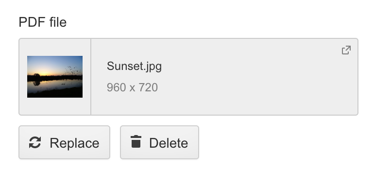 Preview, replace, or delete a file from the document field in the Editor.