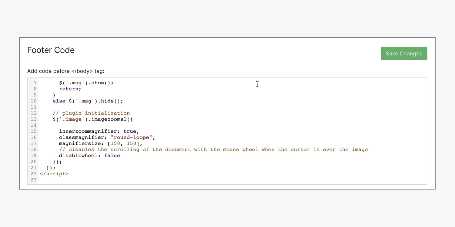 The image magnification custom code should be placed in the Footer code section of the project’s settings, and Before the </body> tag.